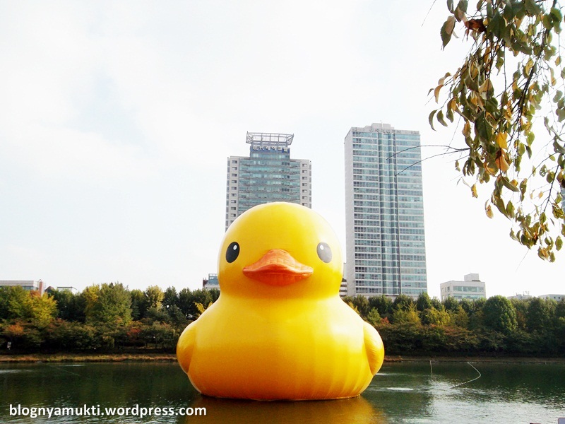 The Giant Rubber Duck is Coming to Seoul!