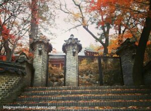 2/4 Seasons: First Fall & Winter