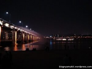 Enjoying Night View of Han River: Banpo Bridge Rainbow Fountain & Fireworks!