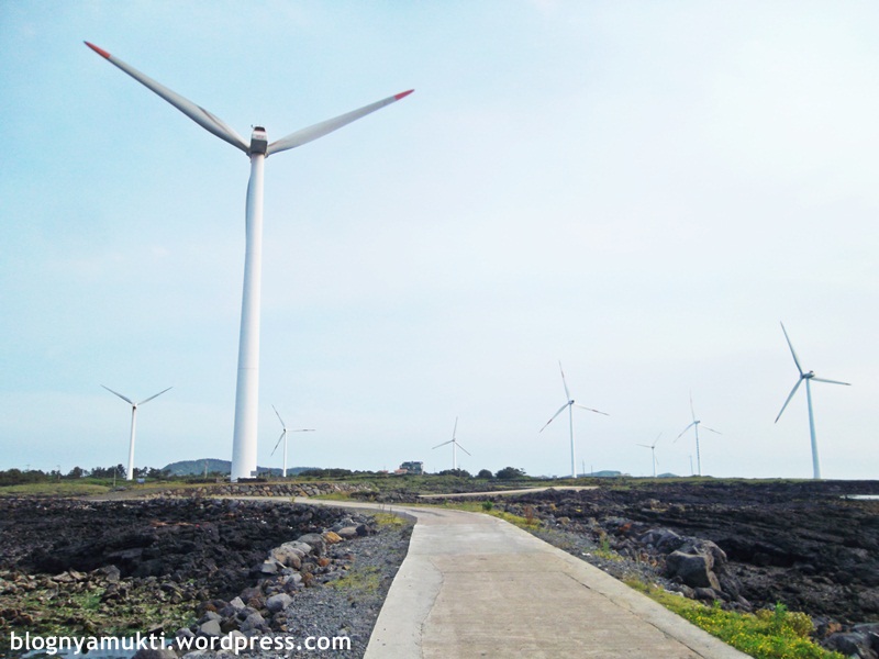 Sinchang Windmill Farm