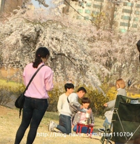 p20160407_164704000_a5c1b958-38a3-4836-8229-ca2234986ff2