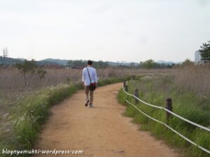 Places To Visit In Incheon (Part III) – Sorae Ecological Park (소래습지생태공원)